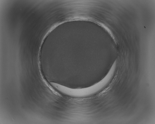 X0000073711373200608241432