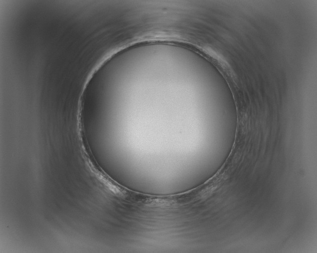 X0000073711374200608241432