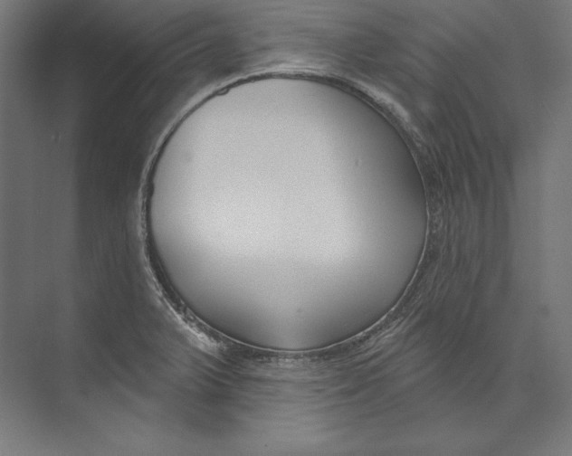 X0000073711375200608241432