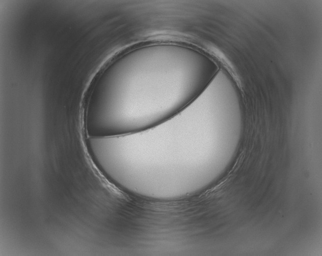 X0000073711376200608241432