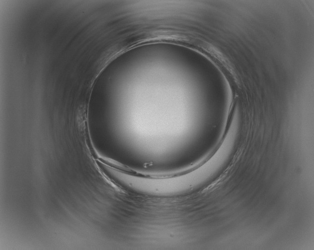 X0000073711377200608241432