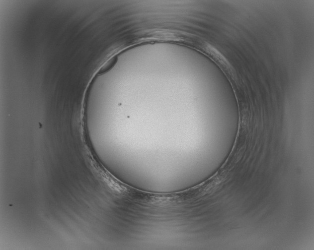 X0000073711378200608241432