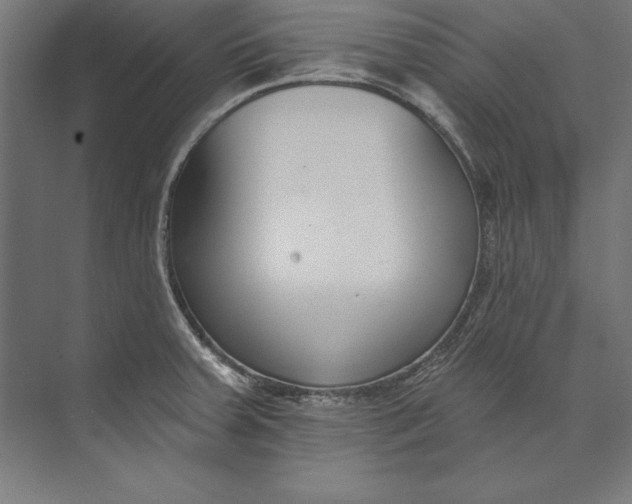 X0000073711379200608241432