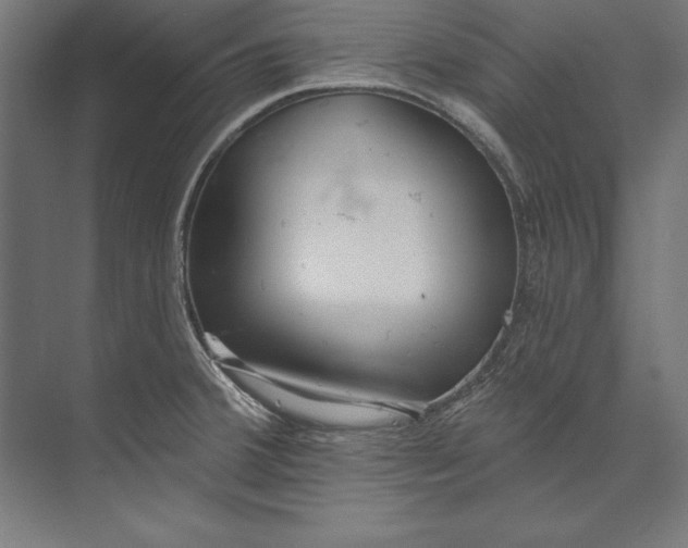 X0000073711380200608241432