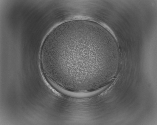 X0000073711381200608241432