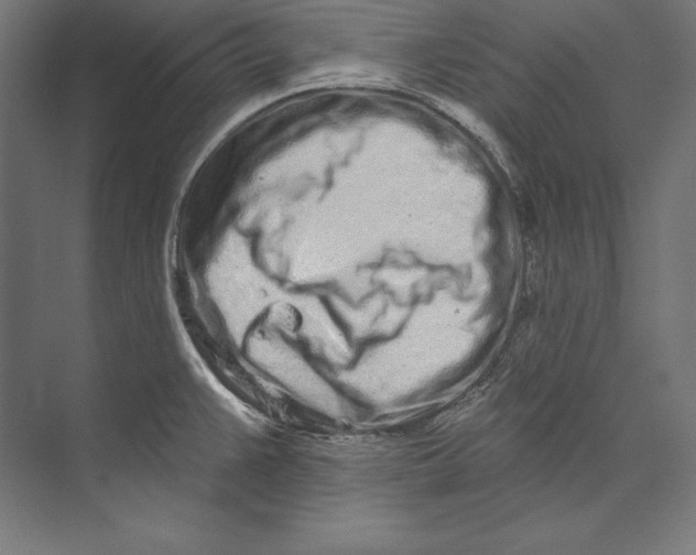 X0000073711383200608241432