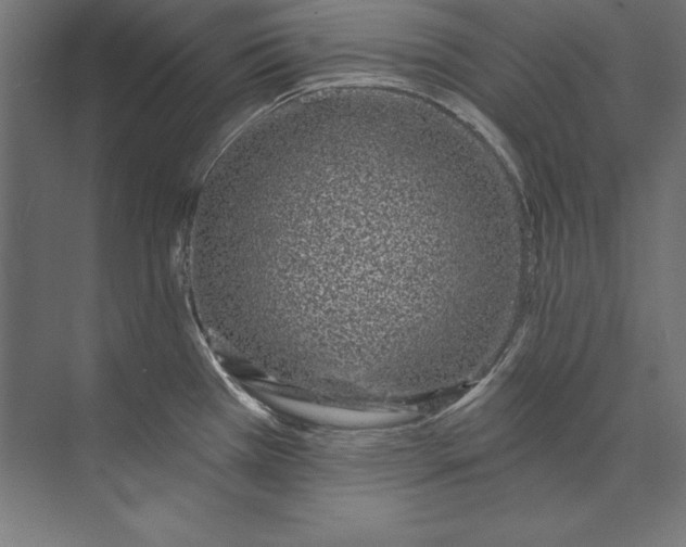 X0000073711385200608241432