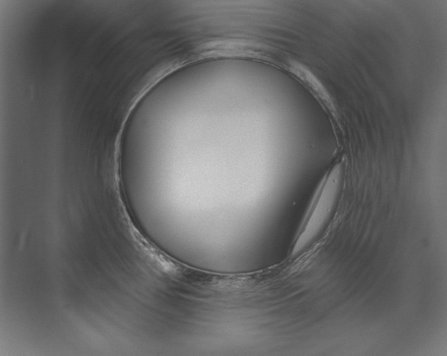 X0000073711386200608241432