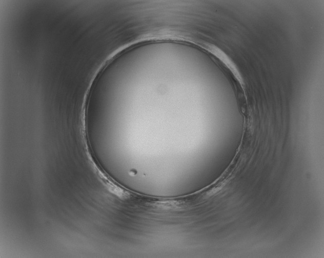 X0000073711388200608241432