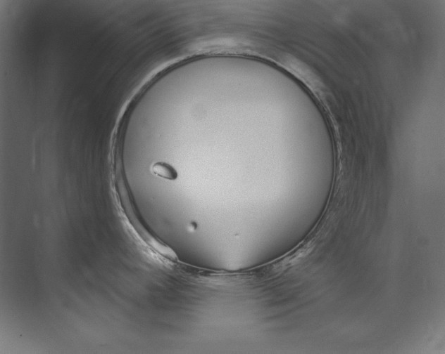 X0000073711392200608241431