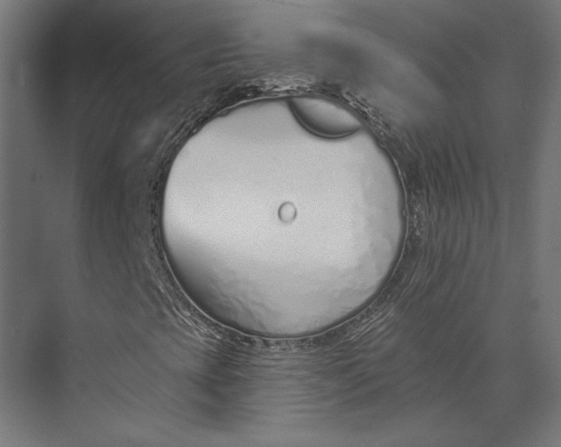 X0000073711393200608241431