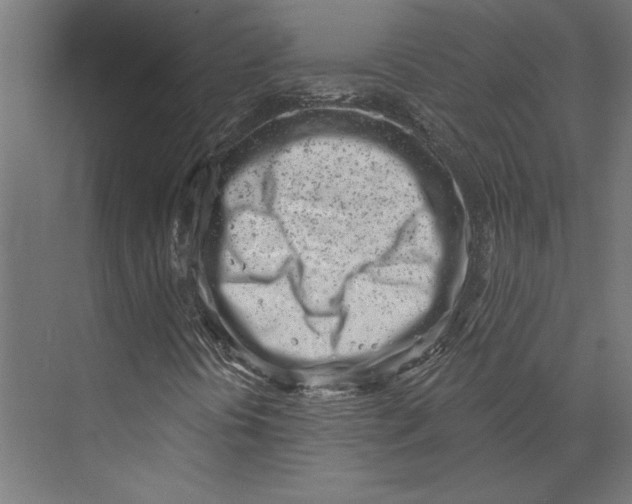 X0000073711394200608241431