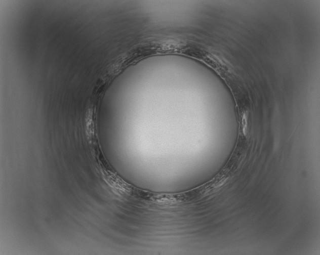 X0000073711395200608241431