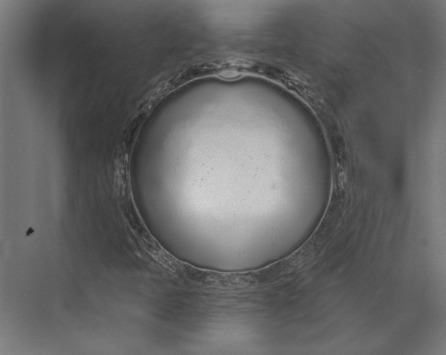 X0000073711397200608241431