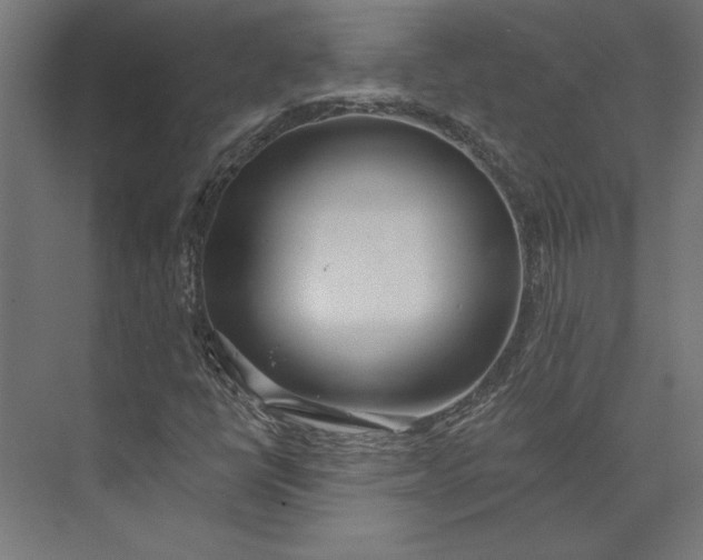 X0000073711398200608241431