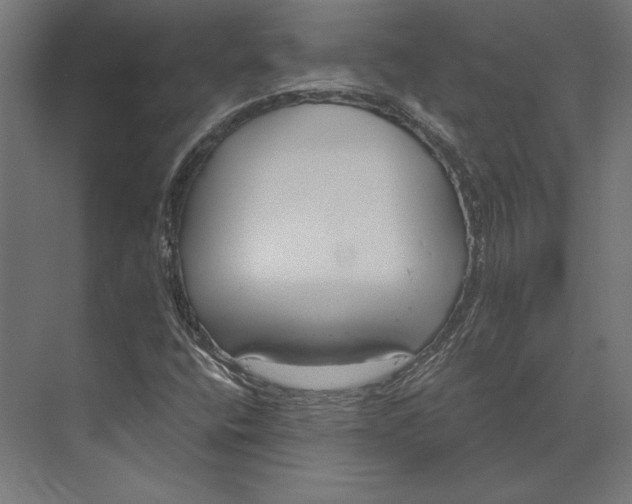 X0000073711400200608241431