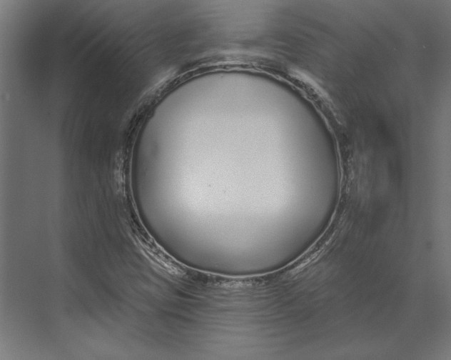 X0000073711403200608241431