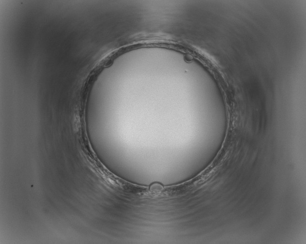 X0000073711407200608241431