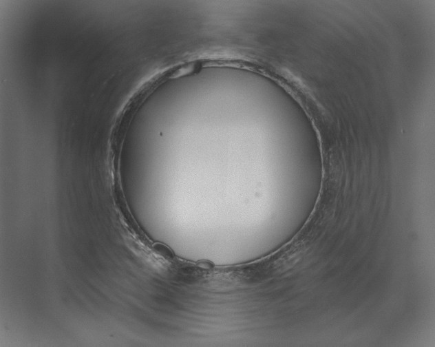 X0000073711408200608241431