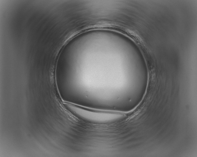 X0000073711409200608241431