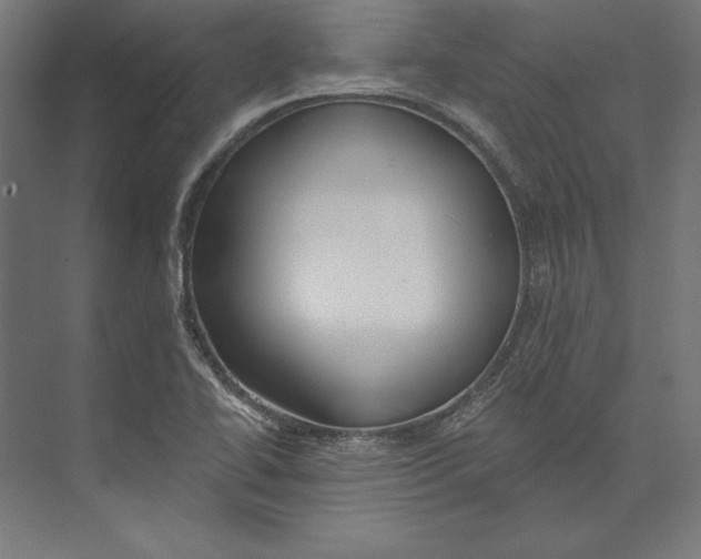 X0000073711414200608241431