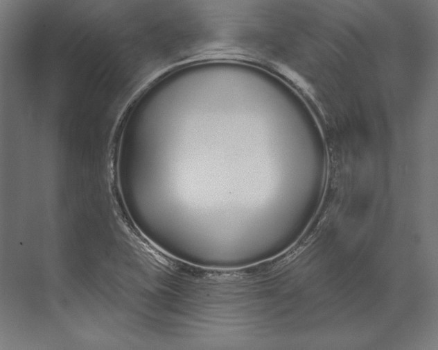 X0000073711415200608241431