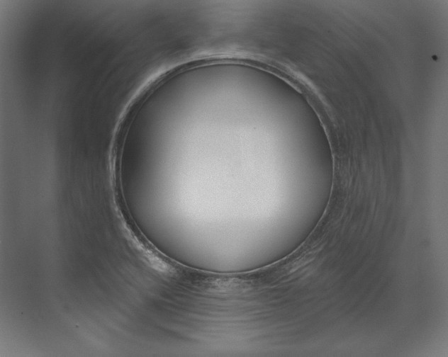 X0000073711416200608241431