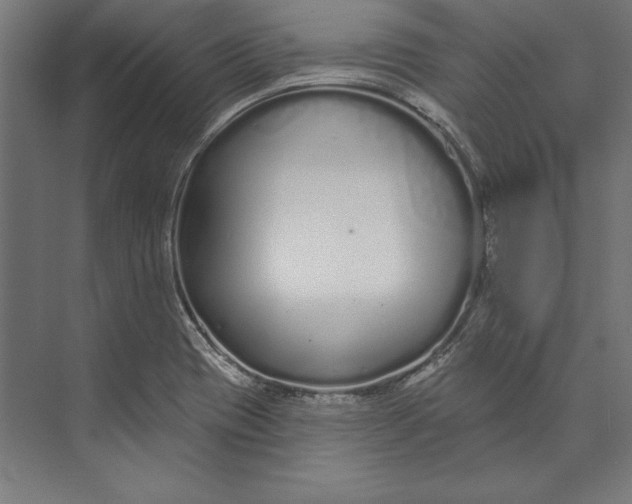 X0000073711417200608241431