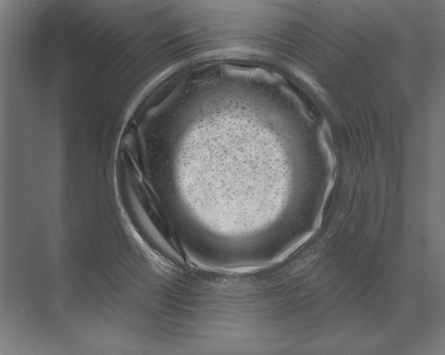 X0000073711418200608241431