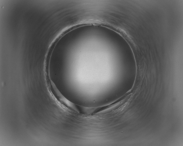 X0000073711422200608241431