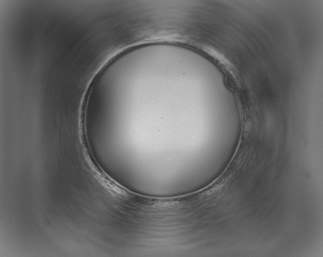 X0000073711423200608241431