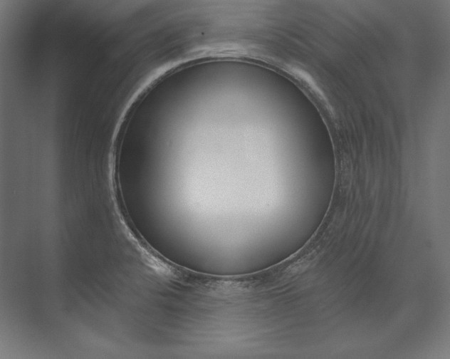 X0000073711424200608241431