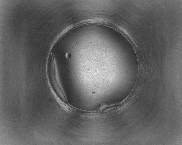 X0000073711426200608241431