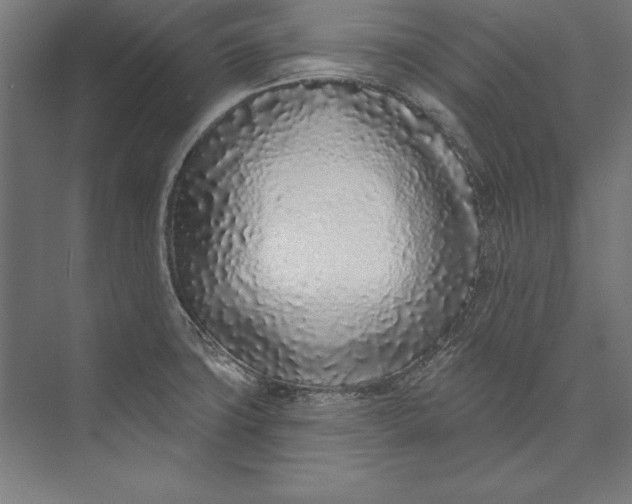 X0000073711427200608241431