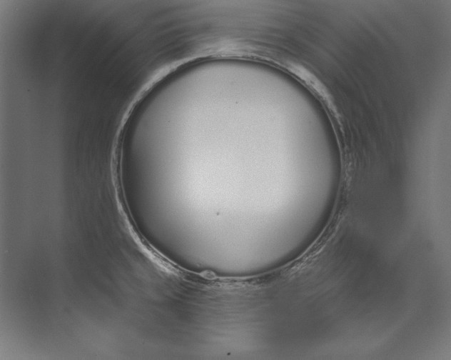 X0000073711429200608241431