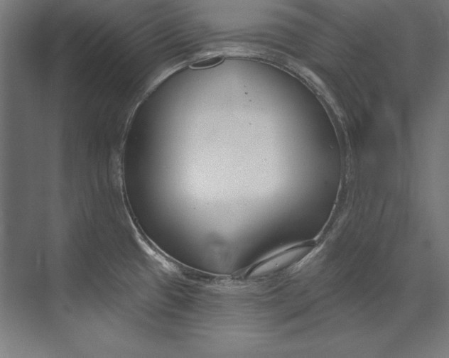 X0000073711433200608241431