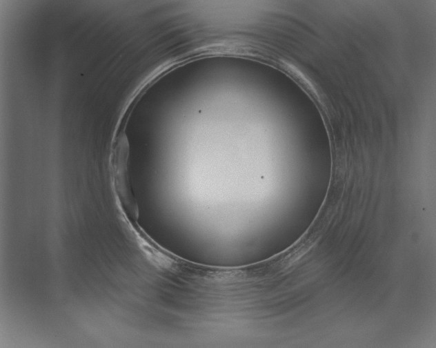 X0000073711434200608241431