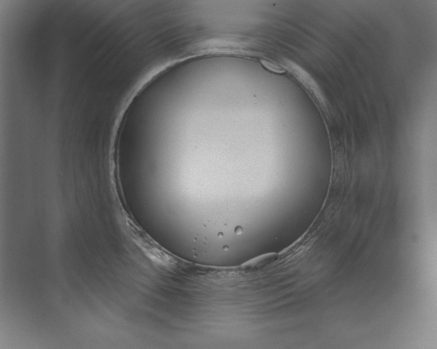 X0000073711435200608241431