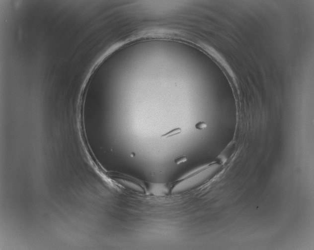 X0000073711437200608241431