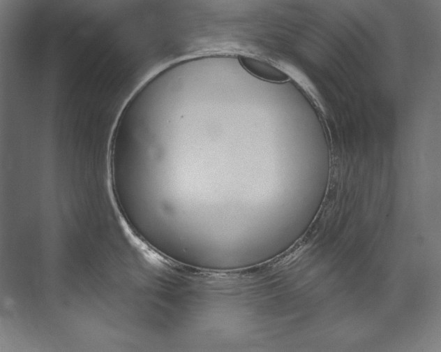 X0000073711439200608241431