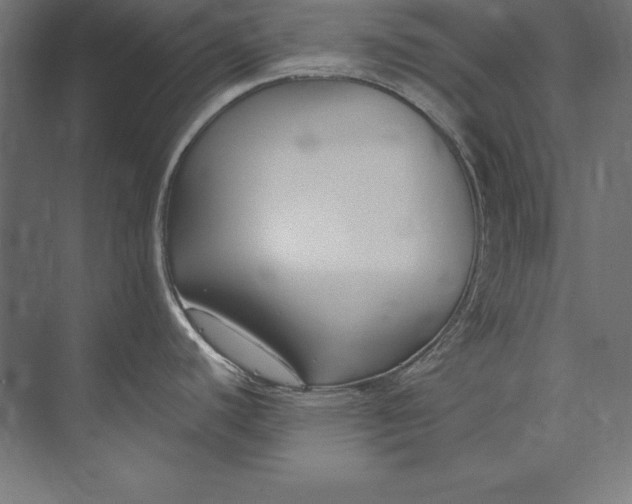 X0000073711440200608241431