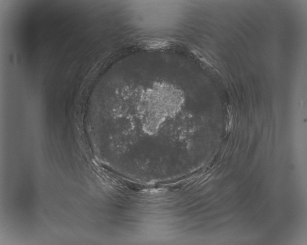 X0000073711441200608241431