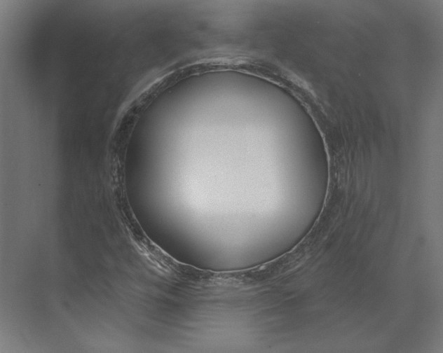 X0000073711448200608241431