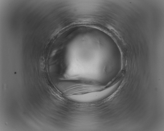 X0000073711449200608241431