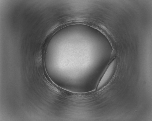 X0000073711450200608241431