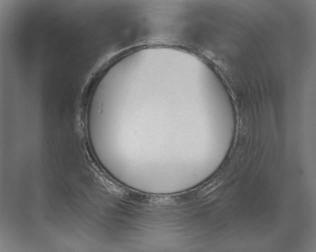 X0000073711454200608241430