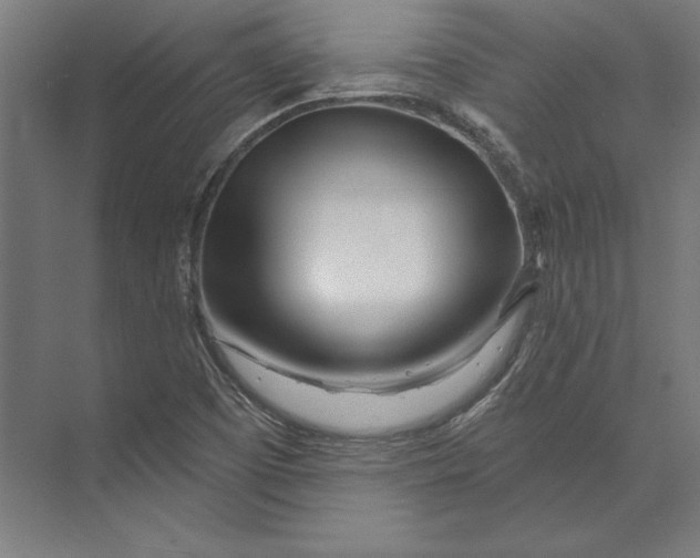 X0000073711457200608241430