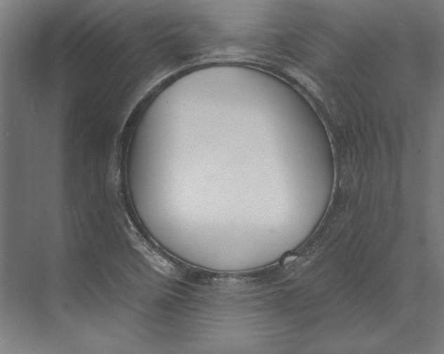 X0000073711458200608241430