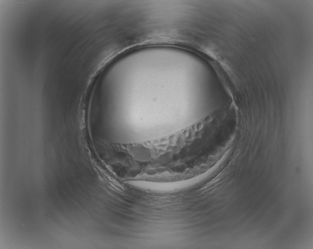 X0000073711459200608241430