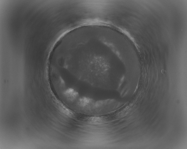 X0000073711463200608241430